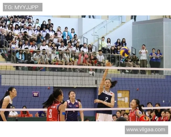 专访黄敏：探寻排球背后的成功秘诀与奋斗历程