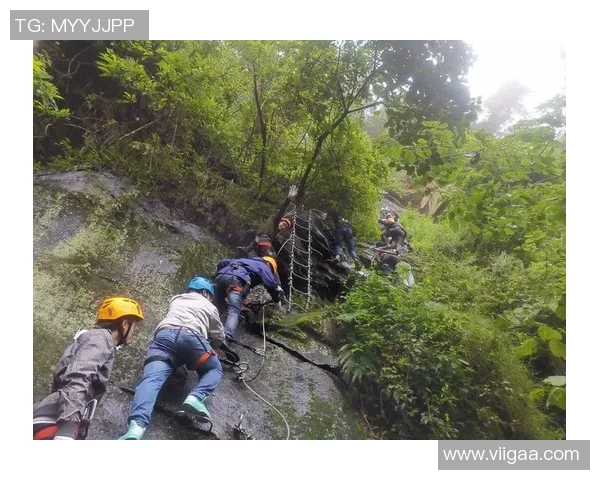 杨芳亲述攀岩技巧与心路历程让你轻松掌握这项极限运动的魅力与乐趣