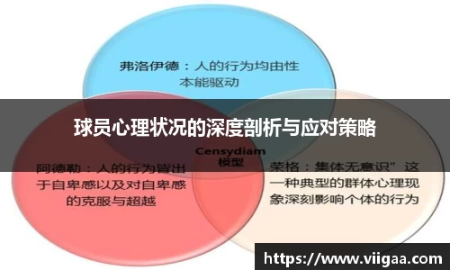 球员心理状况的深度剖析与应对策略