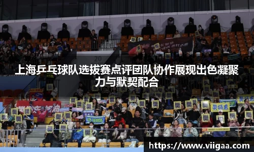 上海乒乓球队选拔赛点评团队协作展现出色凝聚力与默契配合
